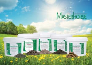 Mineralfutter Masterhorse, Auswahl Mineralfutter