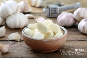 Knoblauch