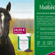 MASTERHORSE Hepadure