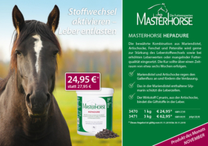 MASTERHORSE Hepadure