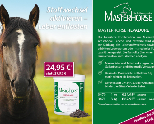 MASTERHORSE Hepadure