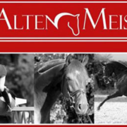 Alte_Meister_Banner_Plakate-347a9e0b6c913b2g8bebb1e8635aa4fb MASTERHORSE ALTE MEISTER