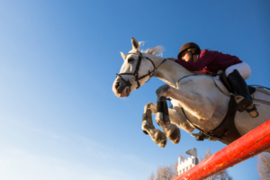 From below young teen equestrian jumping over barrier on background of blue sky.
