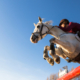From below young teen equestrian jumping over barrier on background of blue sky.