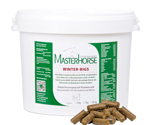 MASTERHORSE WINTER-BIGS
