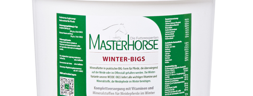 MASTERHORSE WINTER-BIGS