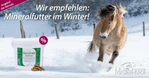 WINTER-BIGS