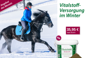 MASTERHORSE SPUREN-KUR