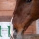Masterhorse; Atemwege; Bronchien; Husten; Bronchodure