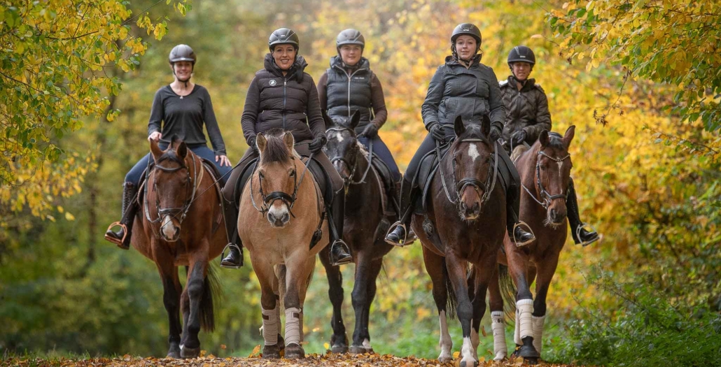 MASTERHORSE, HERBST-KRÄUTER, Kräuter, Stoffwechsel