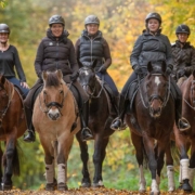 MASTERHORSE, HERBST-KRÄUTER, Kräuter, Stoffwechsel