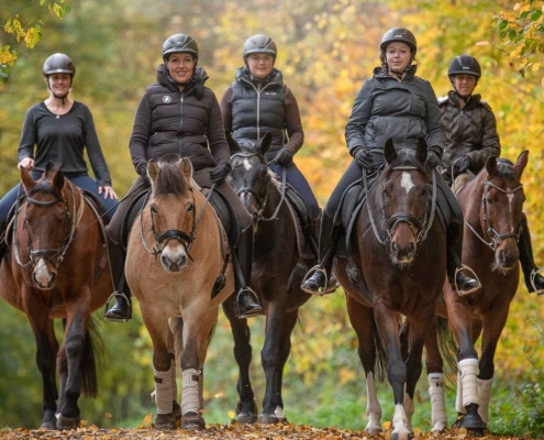 MASTERHORSE, HERBST-KRÄUTER, Kräuter, Stoffwechsel