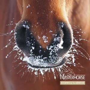 MASTEHORSE Themenheft Abwehr + Atemwege
